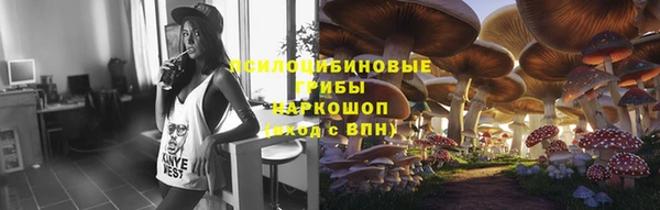 сатива Вяземский