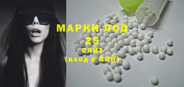 сатива Вяземский