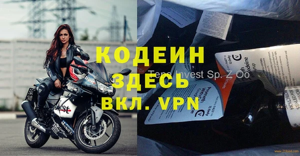 сатива Вяземский