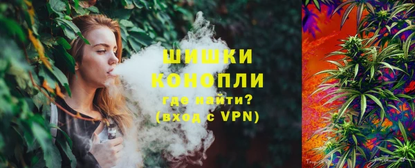 сатива Вяземский