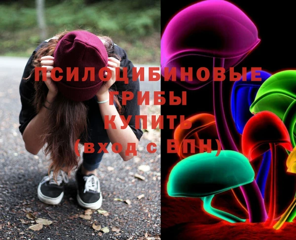 сатива Вяземский