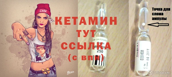 сатива Вяземский