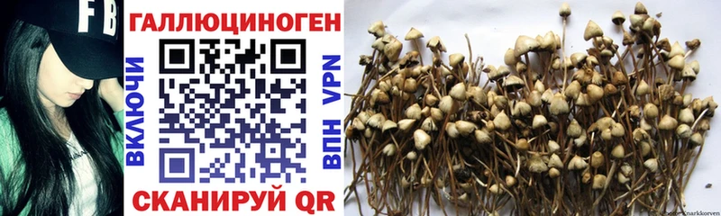Галлюциногенные грибы MAGIC MUSHROOMS  Купить закладки  Вельск 